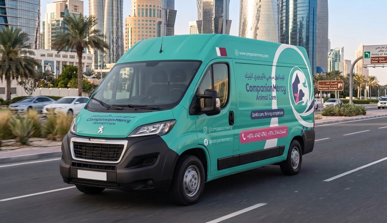 Luxury Mobile Grooming Van
